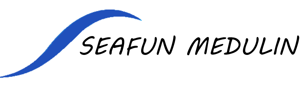 seafun medulin logo